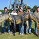 Illustration for article titled Gator season in Mississippi